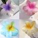 hair clip Armastuse 4 Pcs Flower Hair Clips Set For Women And Girls Flower Hair Clips Large Plumeria Clips Hibiscus Hair Clips for Gilrs Women Thick Long Hair Thin Hair(4 colors) - Buy Online on GoSupps.com