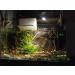 LED Touch Screen Aquarium Thermometer - Accurate Stick-on Temperature Sensor for Fish Tank, Turtle, Betta, Amphibians & Reptiles - Buy Online on GoSupps.com