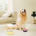 4 Packs Dog Buttons for Communication and Training Recordable Dog Buttons Pet Command Buzzer 30 Second Record & Playback Speech Training Buttons for Dog Cat Training Interactive Toy - Buy Online on GoSupps.com