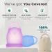 ViiNA Menstrual Cups - Leak-Free 12-Hours Comfort Eco-Friendly & Reusable (Grey L 30ML) - Shop Internationally - Buy Online on GoSupps.com