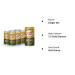 Canada Dry Bold Ginger Ale Mini Cans 7.5 fl oz - 6 Pack - Buy Online on GoSupps.com