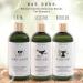 Rae Dunn Deodorizing Shampoo 800ml | Rosemary Mint Aloe & Coconut Oil - International Shipping Available - Buy Online on GoSupps.com