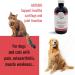 Phyto Ani-Maux Arturo (500 ML) - Natural Herbal Medicine Product (Cats and Dogs) Good Joint Health. - Buy Online on GoSupps.com