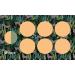 Date Rape Drug Test Sticker Type Alcohol GHB Detection Safety Party G-Check (Apricot)