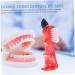 Gleavi 6 STK Mini Prosthesis Toothbrush Set - Travel-Friendly False Teeth Brush for Adults | Personal Cleaning Solution - Buy Online on GoSupps.com