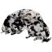 LONEEDY Leopard Print Hair Clips - 3 Pack (Black Beige Brown) | Chic Accessories for Women - Buy Online on GoSupps.com