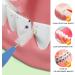 50-Part Interdental Brushes Set | Mini Tooth-Floss Picks & Braces Toothbrush | Colorful Dental Care Tools for Optimal Oral Hygiene - Buy Online on GoSupps.com