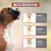 2 Pack Dog Flea and Tick Collar for Dogs - 27 Inch, 8 Month Protection - Tick Prevention for Dogs - Buy Online on GoSupps.com