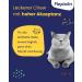 Flexadin Cat - Joint Health Treats with Glucosamine Chondroitin & Omega-3 | 60 Natural Cat Joint Supplements - Buy Online on GoSupps.com