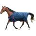 Gallop Trojan 600d Standard Neck 100g Turnout Rug 6'6" (EU 145cm) - Buy Online on GoSupps.com