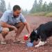 Hydaway Collapsible Bowl | Portable 1-Quart Dish for Camping, Hiking, Travel | Fern Green - Buy Online on GoSupps.com
