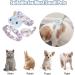Adjustable Rabbit Leash & Cat Dishes - Perfect for Small Pets | International Shipping - Buy Online on GoSupps.com