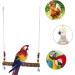 NCTP Handmade Chicken Swing Toy with Natural Wooden Perch Stand for Hens - Perfect for Parrots, Macaws, and Bird Training - Buy Online on GoSupps.com