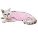 Komate Cat Surgical Recovery Suit | Post Surgery Cotton Pet Physiological Clothes | E-Collar Alternative for Cats & Dogs (S Pink) - Buy Online on GoSupps.com