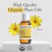 Pranarom USDA Certified Organic Arnica Virgin Plant Oil - 2 fl oz | Natural Massage Oil for Soothing Joints & Muscles - International Shipping - Buy Online on GoSupps.com