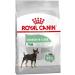 ROYAL CANIN Mini Digestive Care - 3kg Poultry 3 kg (Pack of 1) - Buy Online on GoSupps.com