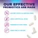Probiotics 60 Billion CFU - 10 Strains + Digestive Enzymes & Prebiotics - Best Probiotic for Women & Men Supports Immune Gut Health Occasional Constipation Diarrhea Gas & Bloating - 120 Capsules 120 Count (Pack of 1) - Buy Online on GoSupps.com