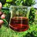 HELLOYOUNG 357g Th Pu-erh chinois naturel original aux pousses d'or m res Fabrication traditionnelle sans additifs Ce th cors est facile conserver et infuser - Buy Online on GoSupps.com