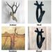 Highwild European Mount Skull Hanger - Antler Style | 1 Pack & 3 Pack Options - Buy Online on GoSupps.com