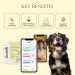 Scooch Anal Gland Supplement for Dogs | Human Grade Crunchy Chews | Stops Scooting & Itching | Plant-Based with Prebiotics | Promotes Digestion | Banana + Pumpkin Flavor - Buy Online on GoSupps.com