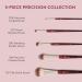 BK Beauty Precision Brush Collection (5PC) - Professional Makeup Brush Set for Flawless Bronzer Blush Contour & Eye Makeup | Premium Quality Face Brushes - Buy Online on GoSupps.com