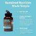 EPC Endurance NAD+ Niacinamide B3 500mg Sustained Release - 200 Count Tablets - Buy Online on GoSupps.com