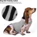 Dog Anti Anxiety Shirt Pet Stress Relief Clothes Pet Calming Wrap Vest Dog Thunder Jacket with Hook Loop and Reflective Strip (S) - Buy Online on GoSupps.com