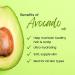 GreenHealth Avocado Oil 100% Pure & Undiluted - 8oz | All-Natural Cooking & Skin Care Oil - Buy Online on GoSupps.com