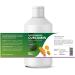 Yoyosan Liposomal Curcumin | High Dose 200mg | Maximum Bioavailability | Vegan & Certified | Effective Turmeric Supplement - Buy Online on GoSupps.com