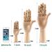 Bleiou 7 Inch Wooden Art Drawing Mannequin Left and Right Hand Model for Sketching and Painting - 7 Inch - Buy Online on GoSupps.com