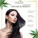 Milania Organic Castor Oil - 100% Pure Cold-Pressed Beauty Serum for Eyelash & Eyebrow Growth - Natural Hair Conditioner - 16 Fl Oz - Buy Online on GoSupps.com