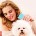 SKYPIA Pet Lice Comb Set for Dog Cat - Flea Tick Dandruff Remover & Grooming Supplies (4 Pack) - Buy Online on GoSupps.com