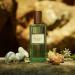Gucci Memoire Dune Odeur Edp Spray Unisex 3.3 fl oz clear 3.3 Fl Oz (Pack of 1) - Buy Online on GoSupps.com