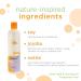 Earth Science Fragrance Free Conditioner - 3 Pack (12oz) | Nourish & Hydrate Hair - Buy Online on GoSupps.com