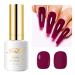 Imtiti Red Gel Nail Polish Cherry Chutney Red Gel Polish Autumn Winter Gel Nail Polish Soak Off LED UV Nail Gel Polish DIY Nail Art Starter Manicure Salon Gel Nail Kit 15ML