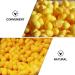 Beaupretty 100 Pcs Facial Cleaning Cocoons - Natural Silk Exfoliator Balls for Beauty & Skincare | International Shipping - Buy Online on GoSupps.com