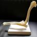 Canine Elbow Joint Model Dog Elbow Joint Model Animal Body Anatomy Replica of Normal Dog Elbow for Veterinary Office Educational Tool - Buy Online on GoSupps.com