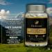 Shilajit 600 mg + Ashwagandha 600 mg Compl ment Ayurv dique Origine Himalaya | 71% Acide Fulvique & Oligo- l ments Naturels | nergie Vitalit & Anti-Stress | 120 G lules Cure 2 Mois 120 unit (Lot de 1) - Buy Online on GoSupps.com