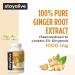 STAY ALIVE Pure Ginger Root Capsules 1000mg, 10:1 Extract Powder with 5% Gingerols, 120 Pills, Extra Strength Root Powder, Vegan, Non-GMO and Gluten-Free Ginger Supplement - Buy Online on GoSupps.com