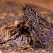 Pu-erh tea 2016 SHENG JIA YUAN Yi Wu 357g cooked - Buy Online on GoSupps.com