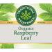 Organic Raspberry Leaf Relaxation Tea - Caffeine Free | 16 Wrapped Bags - Traditional Medicinals - Buy Online on GoSupps.com