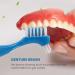 Nagoyuki 12 Pack Hard Denture Cleaning Brush - Effective False Teeth Toothbrush for Optimal Oral Care - Buy Online on GoSupps.com