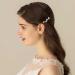Aneneiceera Crystal Butterfly Hair Clip Gold Hair Clip One Word Clip Rhinestone Hairpin Headwear Decorative Hair Pins Headpiece Bridal Hair Accessories for Women and Girls (Gold) Gold Silver - Buy Online on GoSupps.com