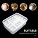16 Grids Reptile Eggs Incubator Tray with Thermometer - Reptile Breeding Box for Hatching Snake, Lizards, Turtle, Gecko Egg - Buy Online on GoSupps.com