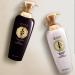 DAENG GI MEO RI Ki GOLD Premium Shampoo 500ml | Anti Hair Loss & Scalp Protection | Natural Medicinal Herbal Formula - Buy Online on GoSupps.com