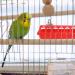 Happyyami 4pcs Pigeon Trough Poultry Feeder Bird Feeder Chicken Feeding Troug Chicken Plucker Quail Feeder Parrots Feeder Bowl Piggy Clamshell Household Plastic Drinking Fountain - Buy Online on GoSupps.com