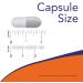NOW Supplements Coral Calcium Plus Bone Health* Healthy pH Balance* 250 Veg Capsules (Pack of 2) - Buy Online on GoSupps.com