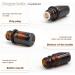 Reyshin 12Pcs 5ml Essential Oils Glass Bottles Amber Refillable Empty Essential Oil Bottle with Black Cap Sample Glass Bottle for Essential oil Diffuser Massage Oils Beauty Oil Mix (Amber 5ml) - Buy Online on GoSupps.com