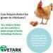 Vetark Avipro Avian Prebiotic and Probiotic For All Bird Species Supports Digestive Health and Stress Easy to give 300g powder 300 g (Pack of 1) - Buy Online on GoSupps.com