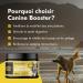 Petsy Labs Canine Booster (3 x 150 g) with Green-lipped Mussel Dog Supplement Dog Supplement Supports Immune System Joint Mobility and More - Buy Online on GoSupps.com